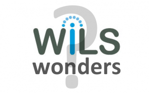 WiLS Wonders